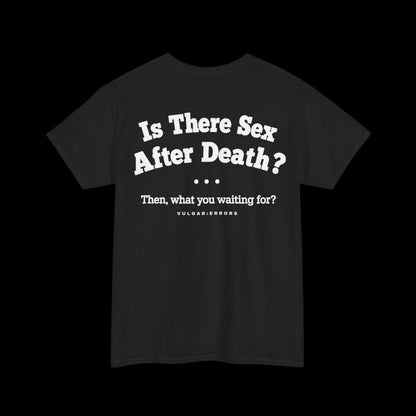 IS THERE AFTER SEX AFTER DEATH? — TEE
