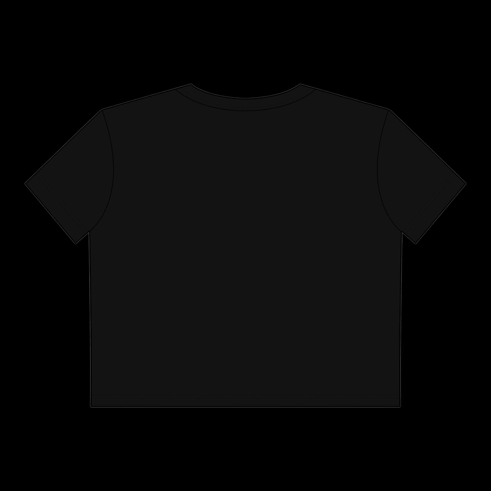"Taken Hoes" Vulgar Errors cropped tee in black — additional product view