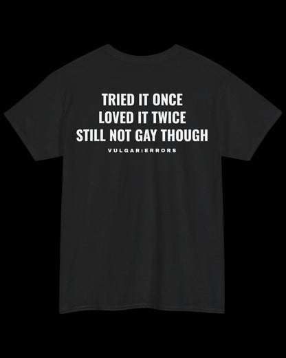 Vulgar Errors Tried It Once, Loved It Twice T-Shirt with large white back slogan print on black cotton