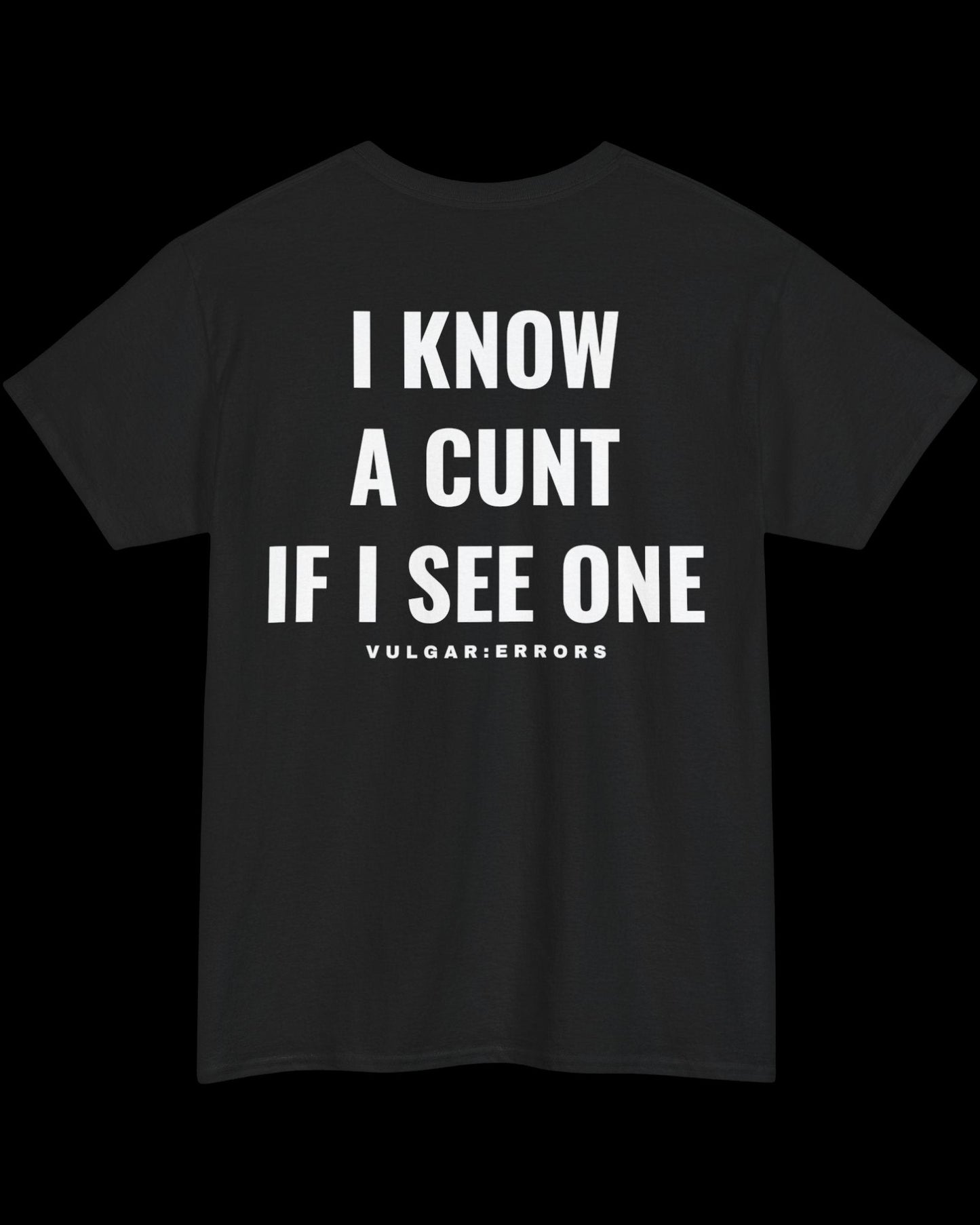 Vulgar Errors If I See One T-Shirt with large white back slogan print on black cotton